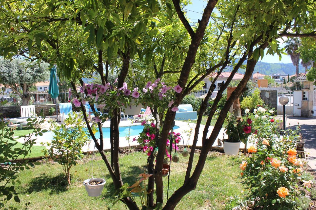 푼다오 Quinta De Sao Marcos 게스트하우스 외부 사진